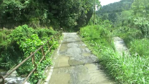 Bus Crossing A Bridge In The Blue Mountains Of JAMAICA | Jason Asselin