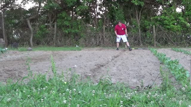 Great and Terrible Gardening s1e13 The Ultimate Garden Experience in Real Time