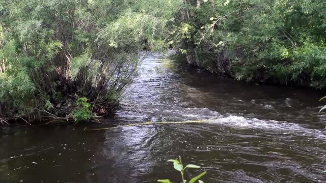 montana stream 4
