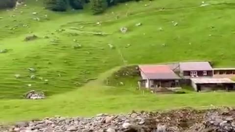 Beautiful scene very beautiful