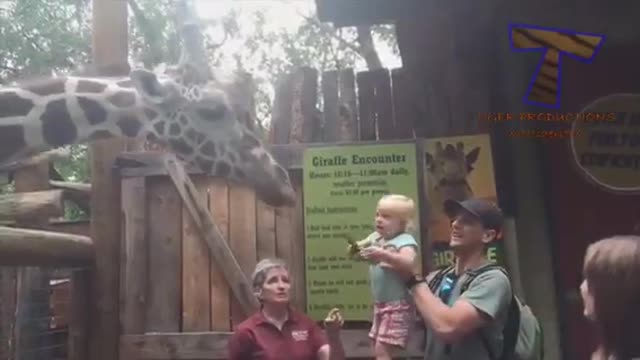 FORGET CATS! Funny KIDS vs ZOO ANIMALS are WAY FUNNIER! - TRY NOT TO LAUGH