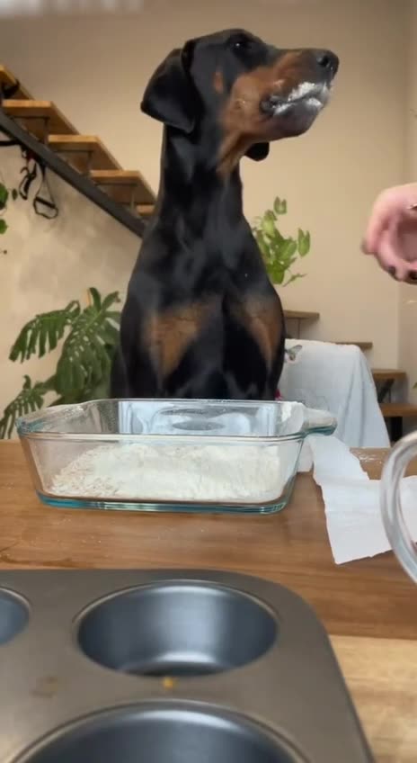 Kids are all the same 🤣😂🤣