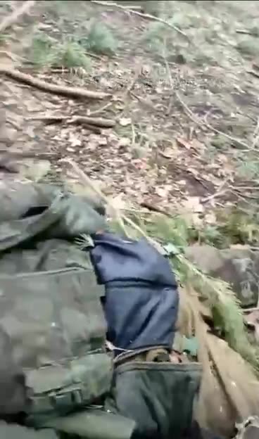 Searching Destroyed Russian Lines