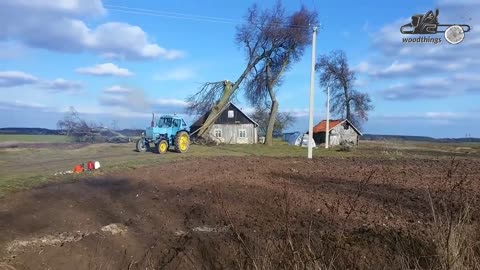 Dangerous Idiots Tree Felling Fails With Chainsaw ! Tree Falling on Houses and Head