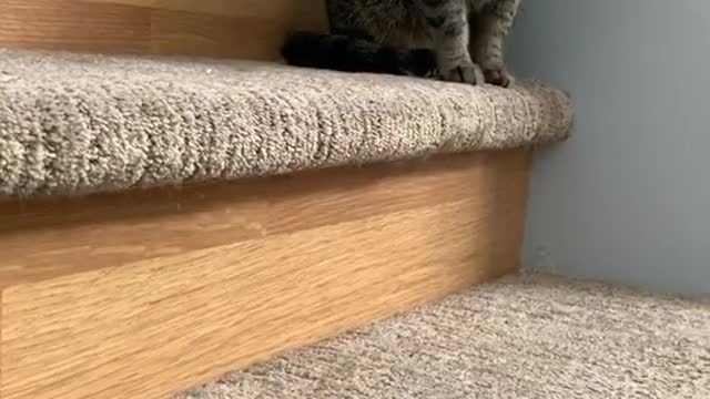 someone watching me