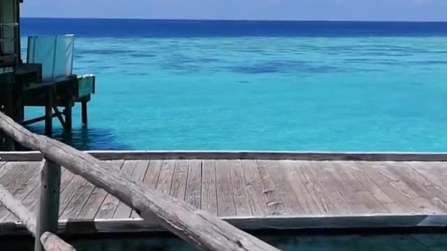 Want to live here forever