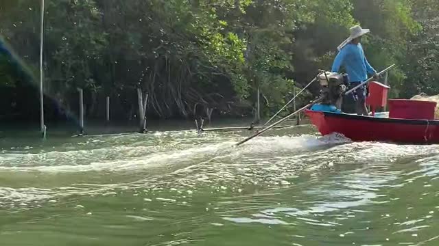 Fisherman on Motorboat