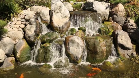 Relaxation - Sounds of Nature - Large Koi Waterfall - 2 Hours #koi #water #nature