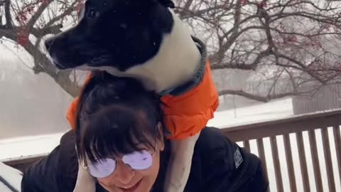 Winter doggie piggyback ride