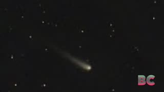 A rare comet brightens the night skies in October