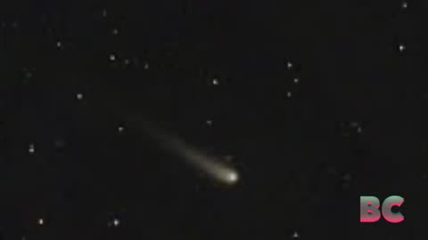 A rare comet brightens the night skies in October