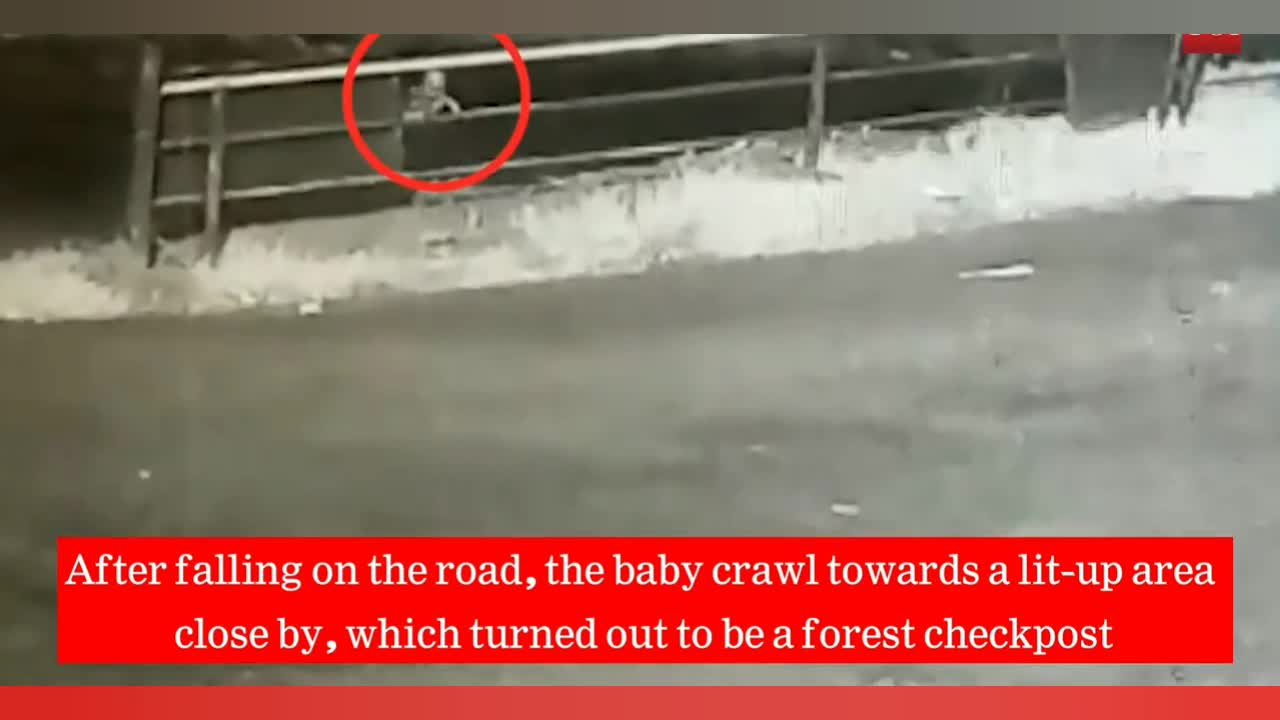 True Story: One-year-old baby falls off speeding jeep in the forest road , survives