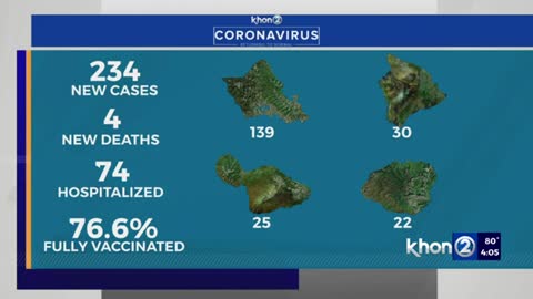 Hawaii reports 234 COVID cases, 4 new deaths