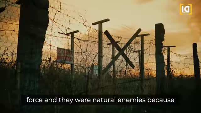 This Is Why Trumps Video Was Taken Down.