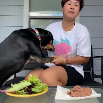 mY DOg iS a vEGeTarIAn