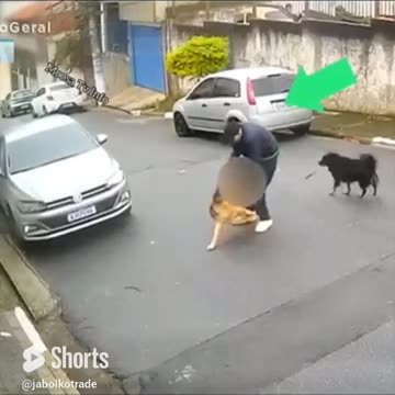 IMAGINE YOU IN THIS SITUATION/ CAN YOU COPE#dogshorts #dog #doglover #safety