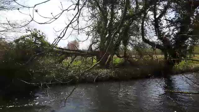 Lovely view of river. Eastleigh. Southampton.
