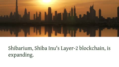 Shiba Inu’s New Encryption Step Enhances User Privacy in Expanding Shibarium