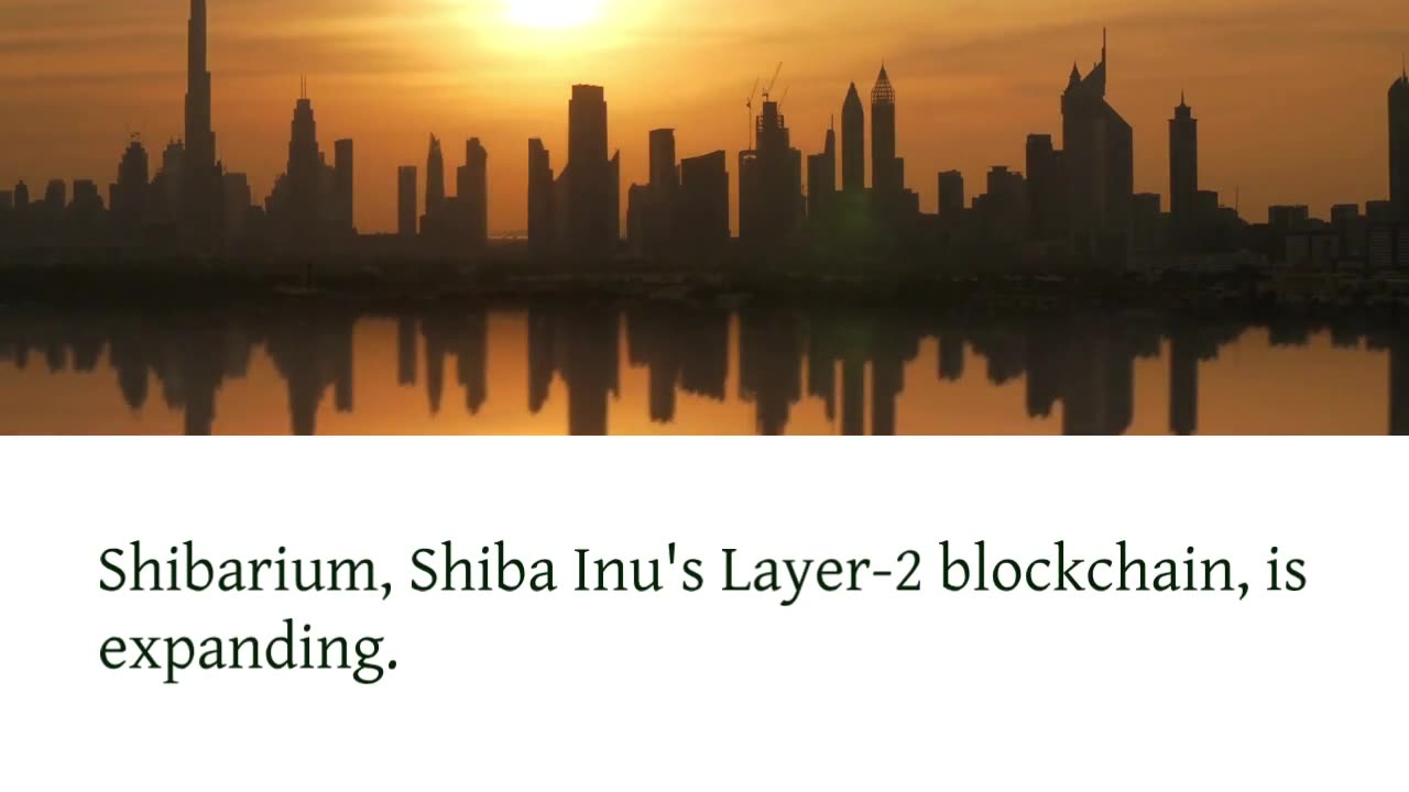 Shiba Inu’s New Encryption Step Enhances User Privacy in Expanding Shibarium