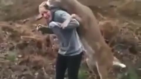 Deer tries to mate with girl