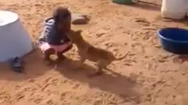 Puppy Got Heavy While Screwed With Kids | Funny Kids Video 🤣