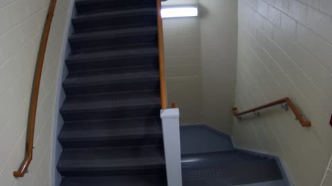 3889FHOB05Stair10_2021-01-06_18h40min01s780ms.mp4