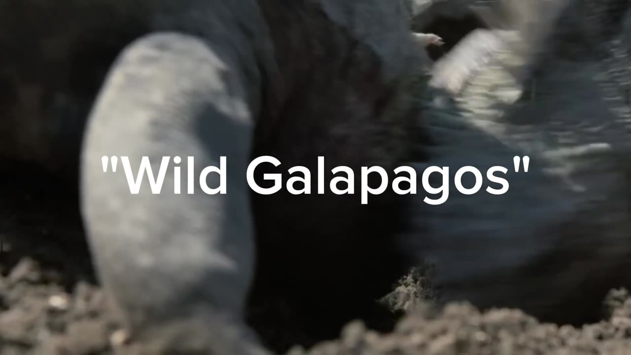 Wild Galapagos - Part 13: In the Grip of the Ocean