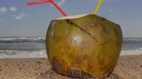 What will happen if you drink coconut water ...