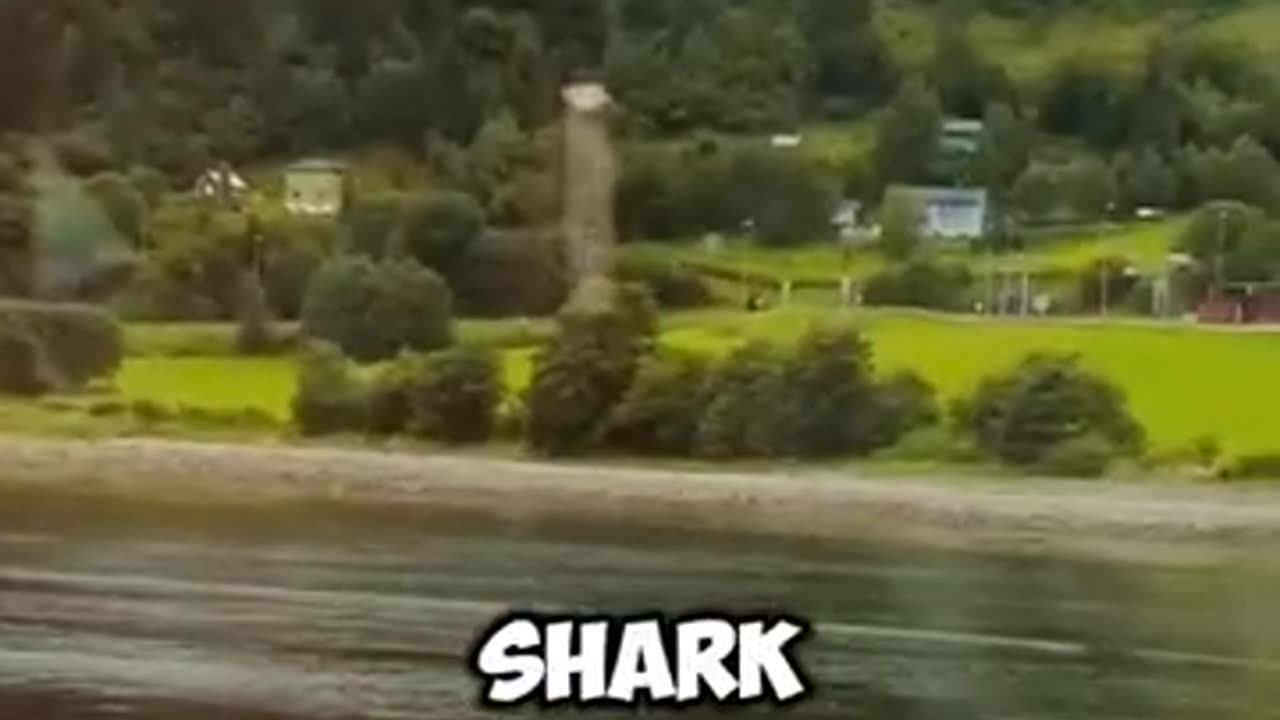 The Three Largest Fish Ever Caught in History! 🐟