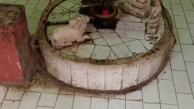 Jai mata di