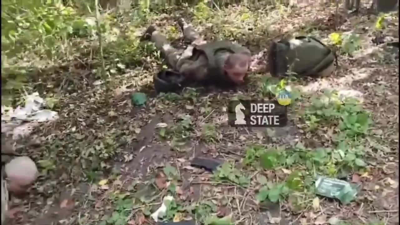 Soldiers of the 22nd OMBr capture a group of the Russians in Kursk region