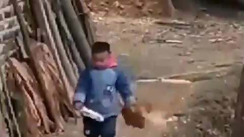 Fight kid vs angry chicken