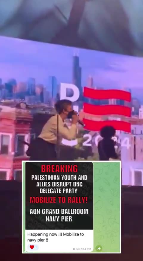 Pro-Palestine protester disrupts the DNC delegate party at Navy Pier in Chicago.