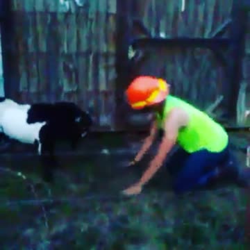 Teen Goes Head to Head with Goat