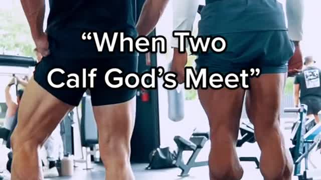 "When Two Calf God's Meet"