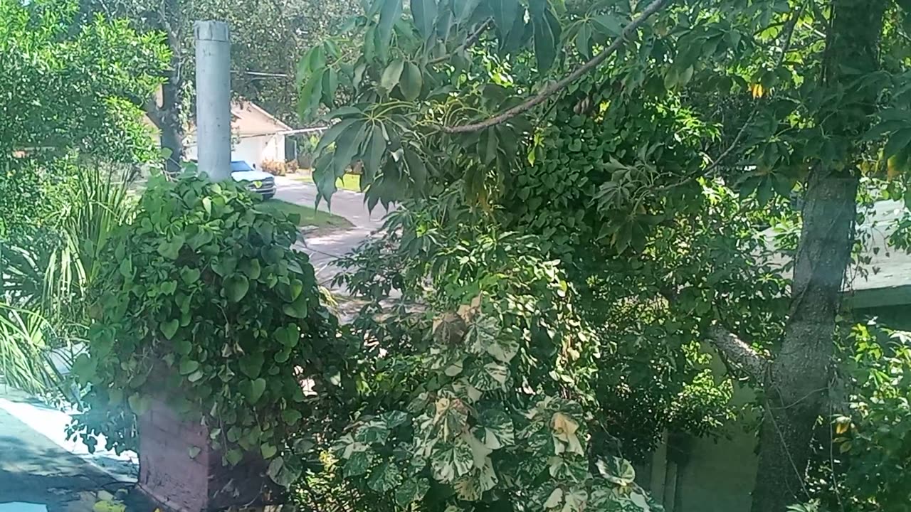 roofing sep 2024 pt2