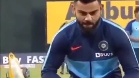 Cricket craze