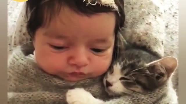 Cat and baby fanny clip## cat and baby fanny moment clip