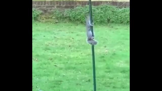 "When you try your best but don't succeed..."