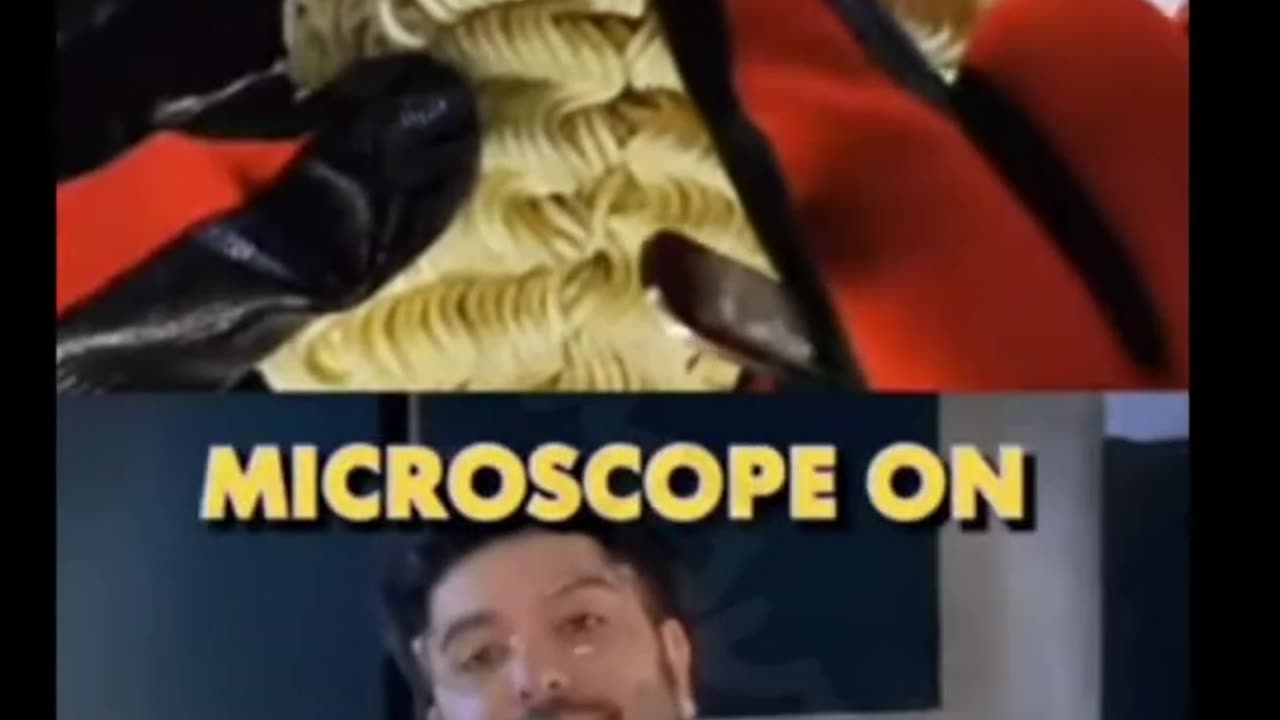 YUM YUM N00DLS - BUG TASTE