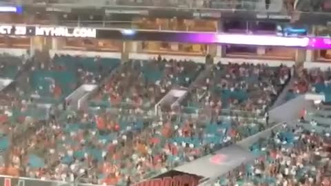 cat jumped into the stadium
