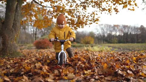 Little Boy Riding Bicycle in Autumn Park