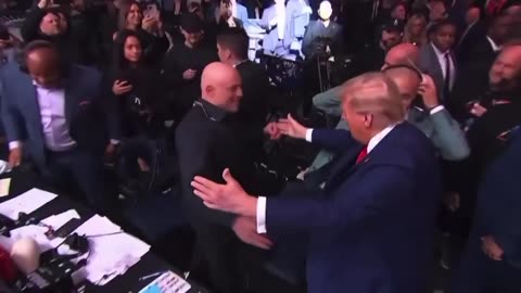 Trump and Joe Rogan at the Boxing