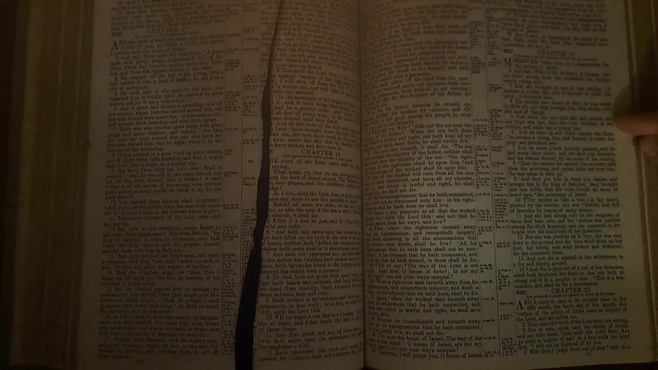 Ezekiel 19