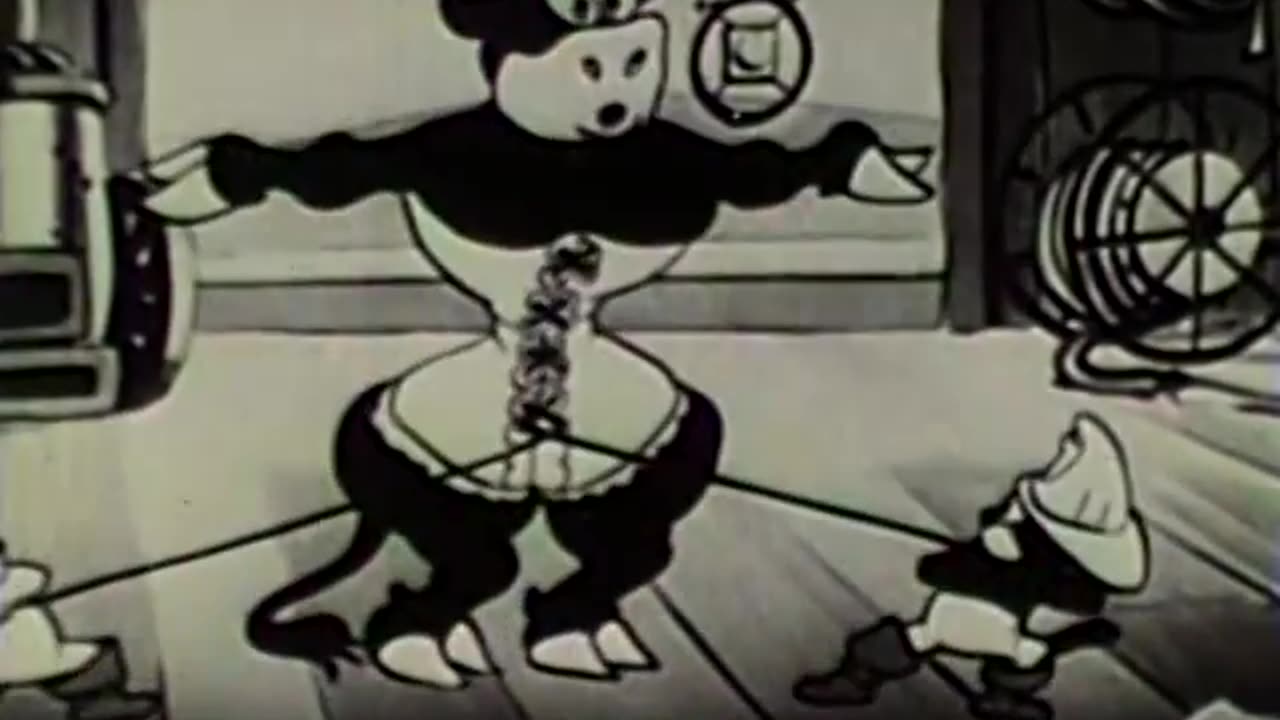 Terrytoons - 1932x08 - Radio Girl