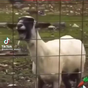 ΤΗΝ ΩΡΑ ΤΟΥ ΕΜΒΟΛΙΑΣΜΟΥ-Η ΑΛΗΘΕΙΑ.