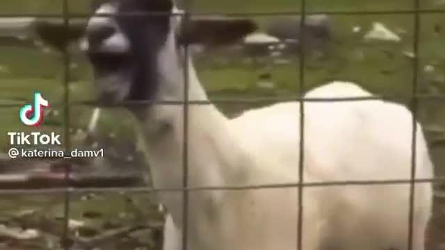 ΤΗΝ ΩΡΑ ΤΟΥ ΕΜΒΟΛΙΑΣΜΟΥ-Η ΑΛΗΘΕΙΑ.