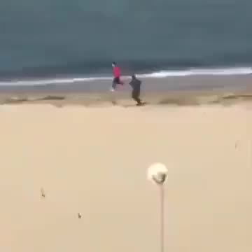 Złap mnie, jeśli potrafisz!