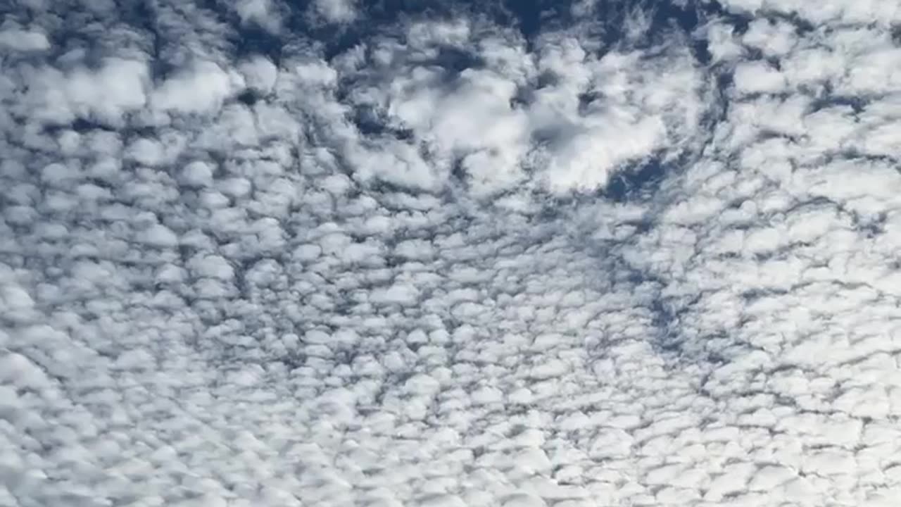 Chemtrails let it spray let it spray let it spray