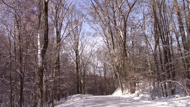 Snow Covered Country Road